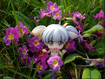 Tama